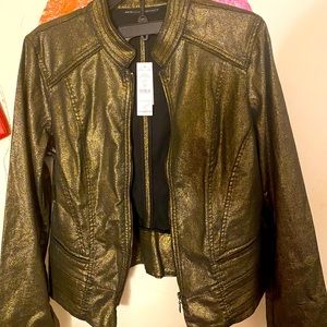 Gold foil band jacket